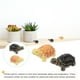 thumbnail image 2 of Micro paisajes para decoración de peceras, tortugas, simulación de paisajismo, figuras en miniatura de tortugas, resina para tartas, 30 unidades, 2 of 6