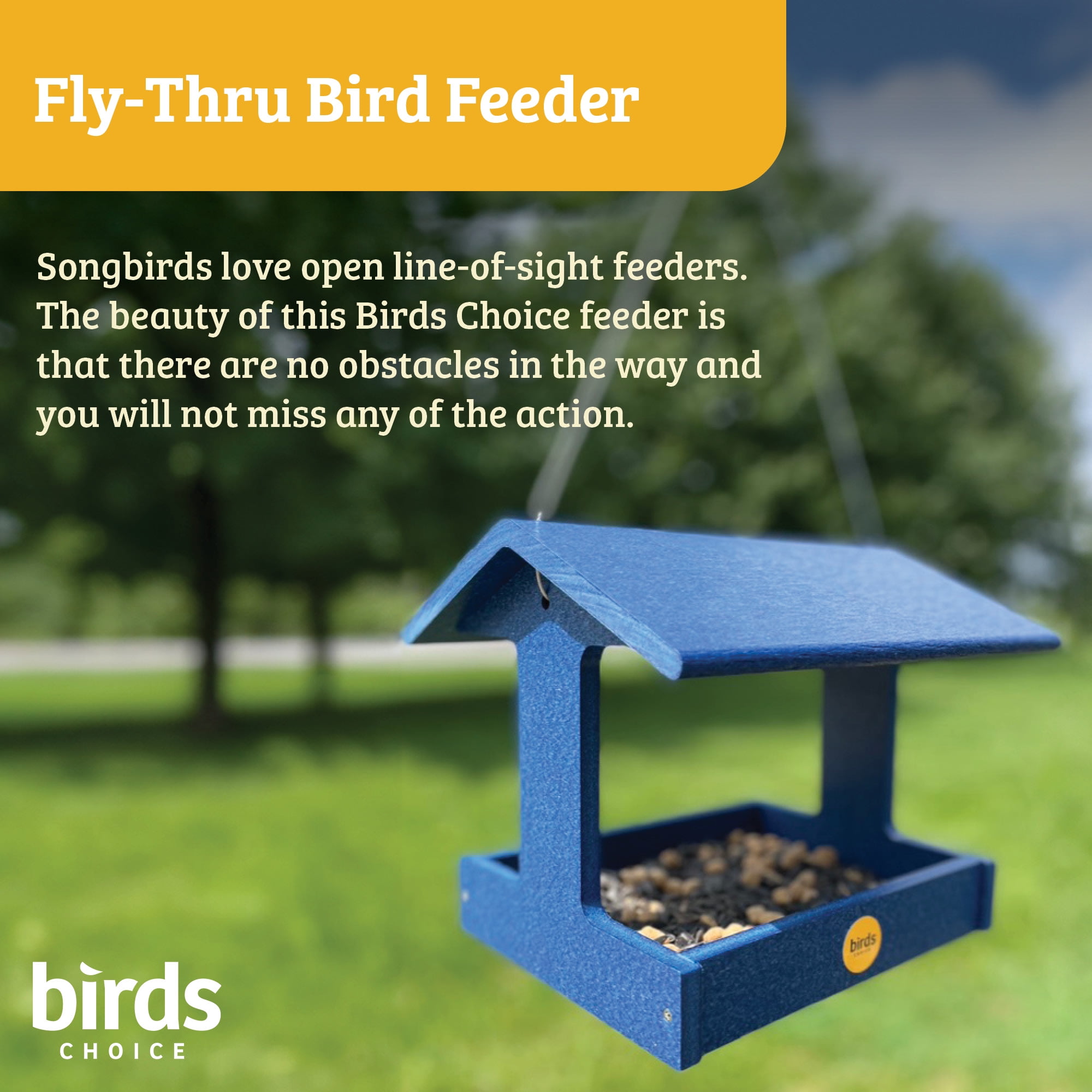 Birds Choice Recycled Plastic Fly-Thru Platform Feeder for Variety of Birds, Blue