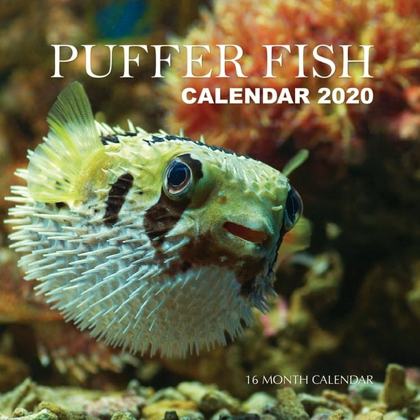 Puffer Fish Calendar 2020 16 Month Calendar (Paperback)