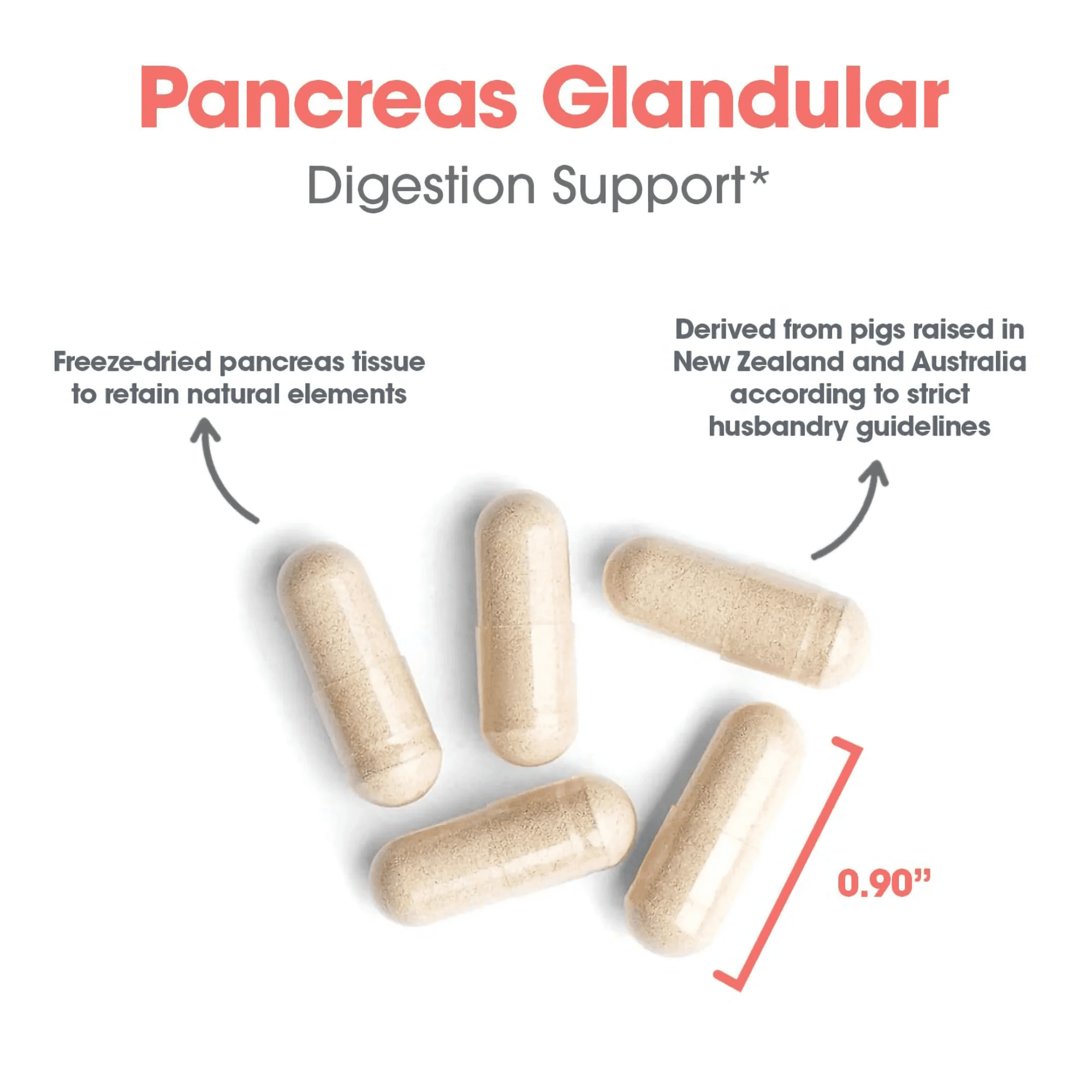 ARG Pancreas Natural Glandular - Supports Healthy Pancreas, Immune & Digestive Activity - 425 mg per Serving - Freeze Dried Tissue from Pork - 60 Servings - 60 Capsules