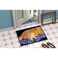 thumbnail image 2 of Carolines Treasures SS8909MAT Golden Retriever Doormat 18x27 27"L x 18"W multicolor, 2 of 4