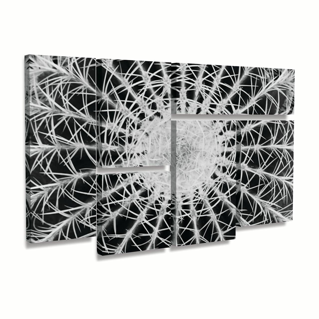 Trademark Fine Art 'Barrel Cactus' Canvas Art by Kurt Shaffer