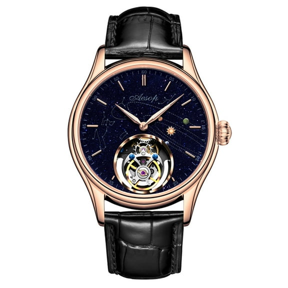 AESOP Mechanical Hand Wind Skeleton Tourbillon Wrist Watch Men Stainless Steel Sapphire Crystal Leather Luminous Clock Waterproof Galaxy Starry Sky Micro Paint Earth