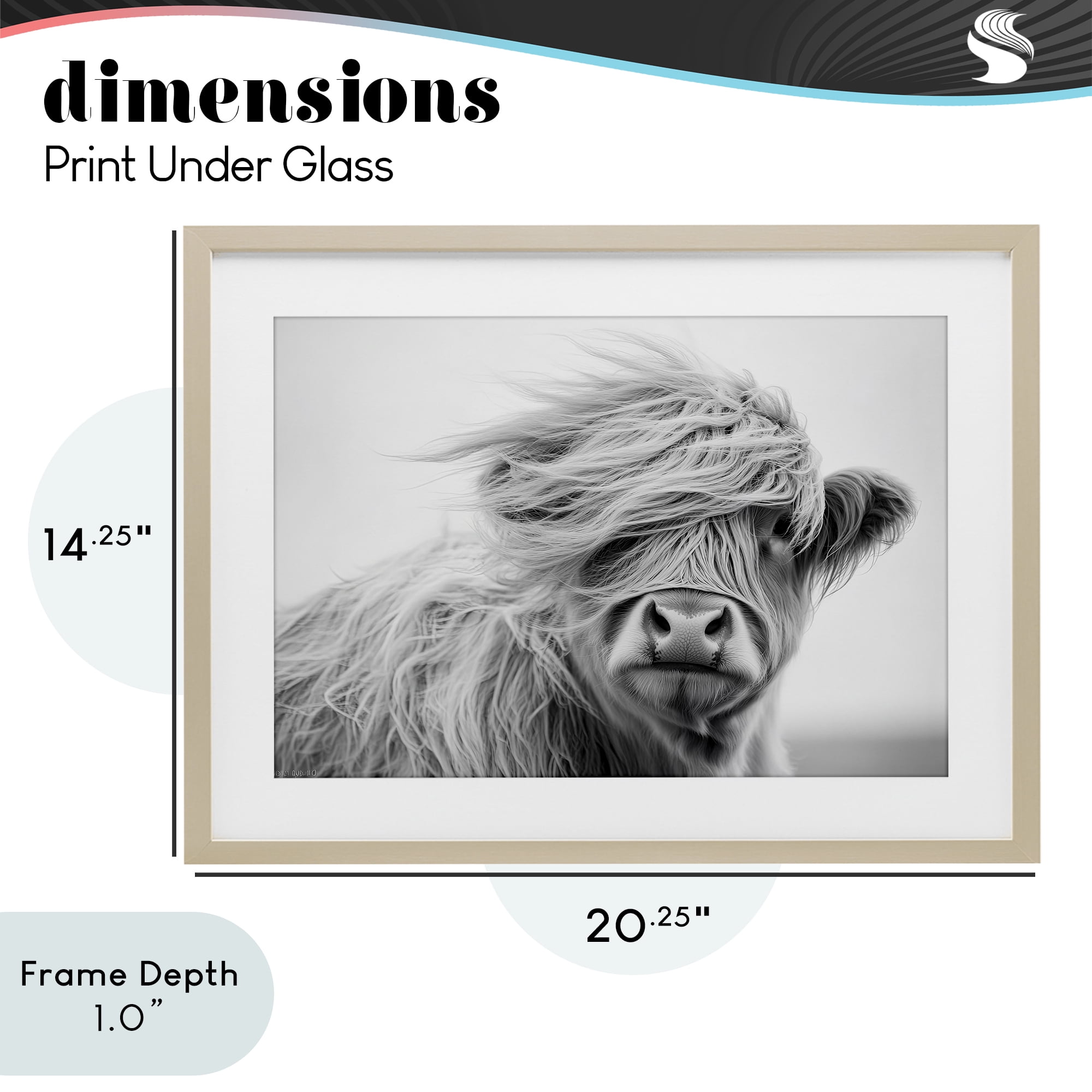 Stupell Industries Easy Breezy Highland Birch Framed Print Under Glass, design by Tina LeCour