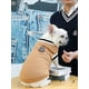 thumbnail image 1 of Fall/winter V-neck Pet Dog Cat Sweater Vest In College Style, 1 of 4