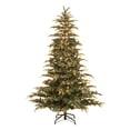 thumbnail image 1 of Puleo International 6.5 Ft Dans Mountain Fir Prelit Full Christmas Tree w/ Clear Lights, 1 of 6