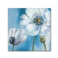 thumbnail image 2 of Trademark Fine Art "Blue Dance III" Canvas Art by Lisa Audit, 2 of 4