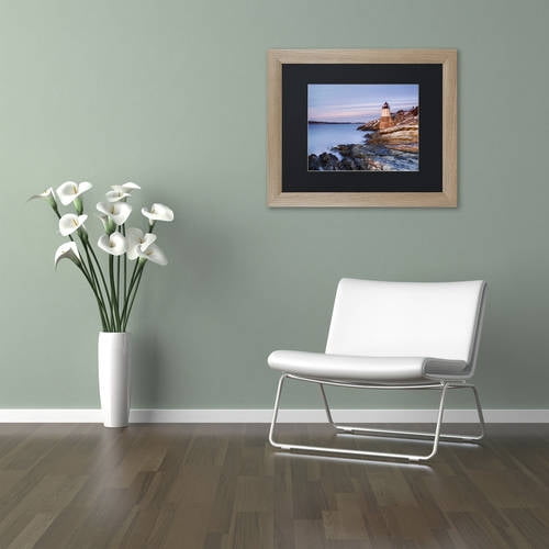 Trademark Fine Art "Stone on Rock" Canvas Art by Michael Blanchette Photography Black Matte, Birch Frame