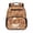 Capybara Coffee, variant on Capybara Kids Daily Backpack 13.5 Inch, Sea Turtle Preschool School Bag, Dual Carry Convenient Toddler Bag for Different Daily Occasions