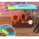 thumbnail image 4 of Caja de cría de reptiles Strade Fareast Limited Contenedor para eclosión 3 piezas, 4 of 8