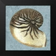 thumbnail image 2 of Vision Studio 12x12 Black Modern Framed Museum Art Print Titled - Stonewashed Shells III, 2 of 5