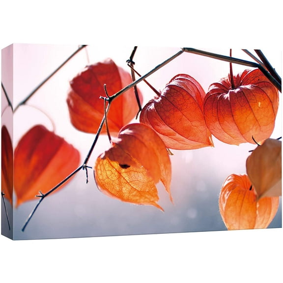 wall26 Canvas Print Wall Art Orange & Red Chinese Lanterns on Branches Floral Nature Photography Realism Rustic Scenic Relax/Calm Multicolor for Living Room, Bedroom, Office - 16"x24"