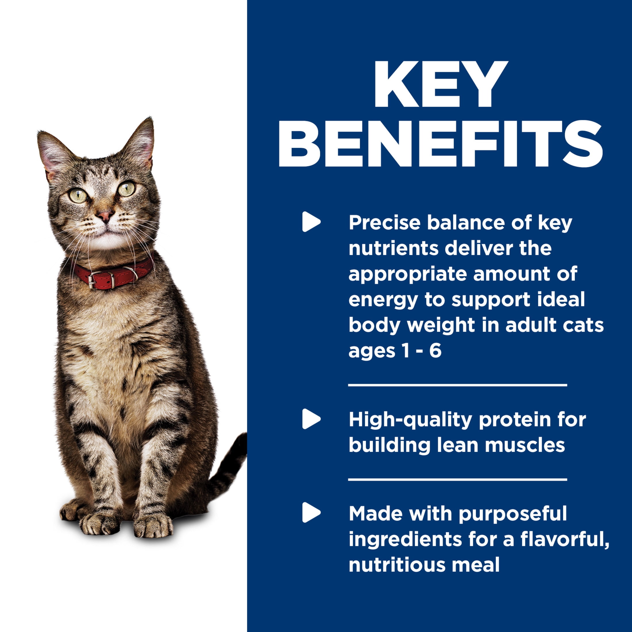 Hill's Science Diet Ocean Fish Wet Cat Food, 5.5oz Can 24pk