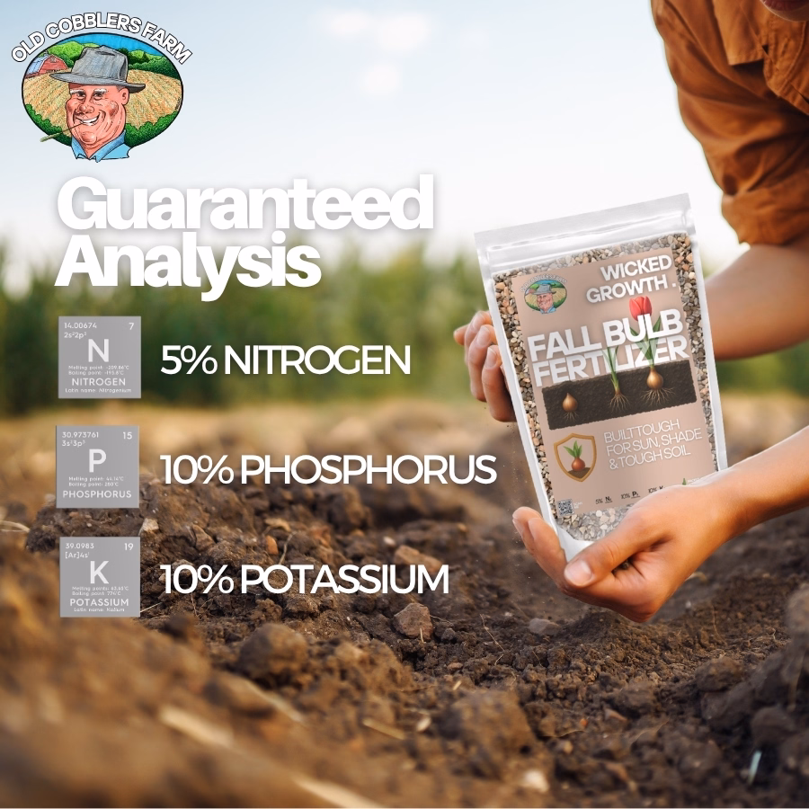 thumbnail image 3 of Old Cobblers Farm™ Wicked Growth Fall Bulb Fertilizer – Flowering Bulb Plant Food for Tulips, Daffodils, Hyacinths & for Stronger Roots, Bigger Blooms, Cold-Weather Formula (5/10/15/20 lbs) (15 lbs), 3 of 6