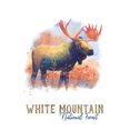 thumbnail image 4 of White Mountain National Forest, New Hampshire, Moose, Watercolor (19x27 inches, Premium 500 Piece Jigsaw Puzzle for Adults and Family, Made in USA), 4 of 4