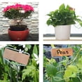 thumbnail image 4 of Yuarrent Etiquetas de plantas ligeras de Metal, 10 Uds., flores, hierbas y verduras, etiquetas de plantas de Metal, suministros de jardín Jardín y Patio, 4 of 6