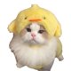 thumbnail image 1 of Gorro decorativo para perros y gatos, bonito disfraz de cosplay (J9V2), 1 of 1