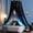 Dolphin, variant on Gorgeous Moon Printed Bed Canopy for Girls & Adults, Room Decorative Cozy Bed Curtain Canopy Drapes, Round Dome Luxurious Lace Princess Canopies Mosquito Netting (Print Moon)