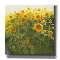 Epic Graffiti 'Sunflower Field' by Shirley Novak Canvas Wall Art, 37" x 37"