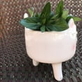 thumbnail image 6 of Planter for Succulent Plant Ceramic Plant Pots Indoor, Novelty Planters for Home Office Garden White Cat, Small, 1, 6 of 6