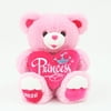 Sweetheart Teddy? 2016 Bear Holding Embroidered Plush Heart