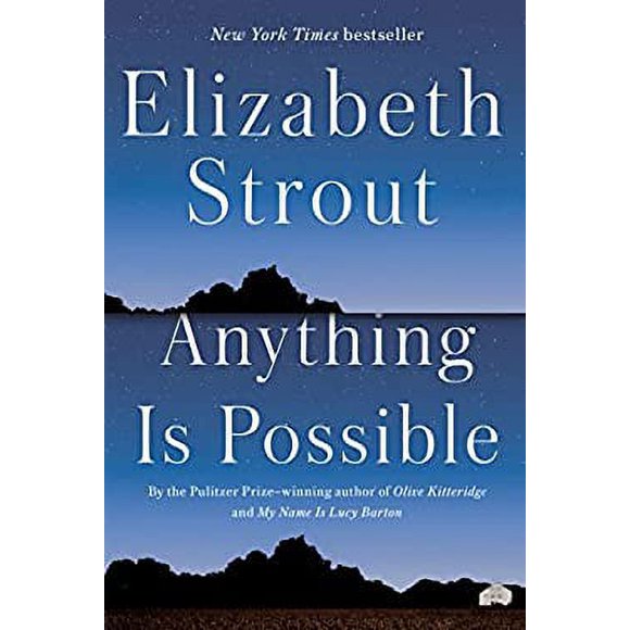 Pre-Owned Anything Is Possible: A Novel 9780812989403