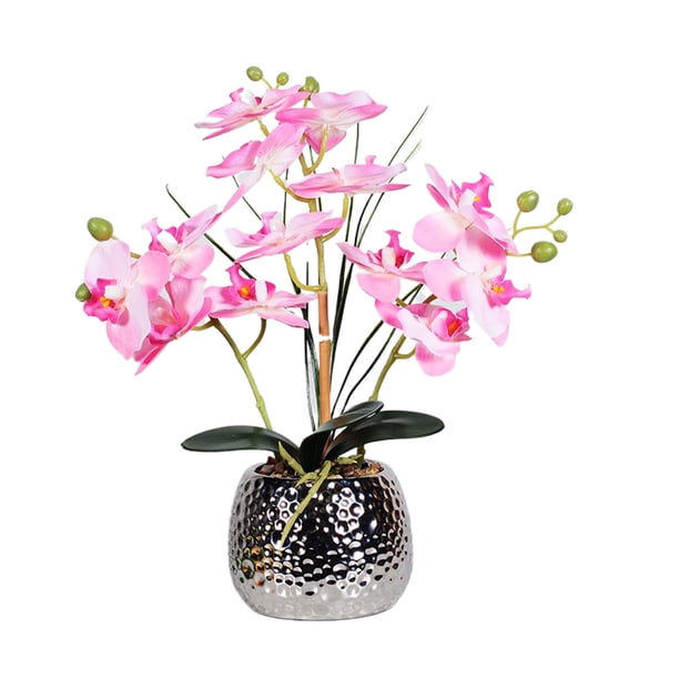 Decoración de flores realistas Bewildely Orquídea artificial multicolor
