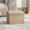 Light Taupe, variant on LEDREM Foldable Storage Ottoman, 286lb Capacity Multi-Functional Footrest Stool with 8 Gallon Storage, 16.1"W, Light Taupe