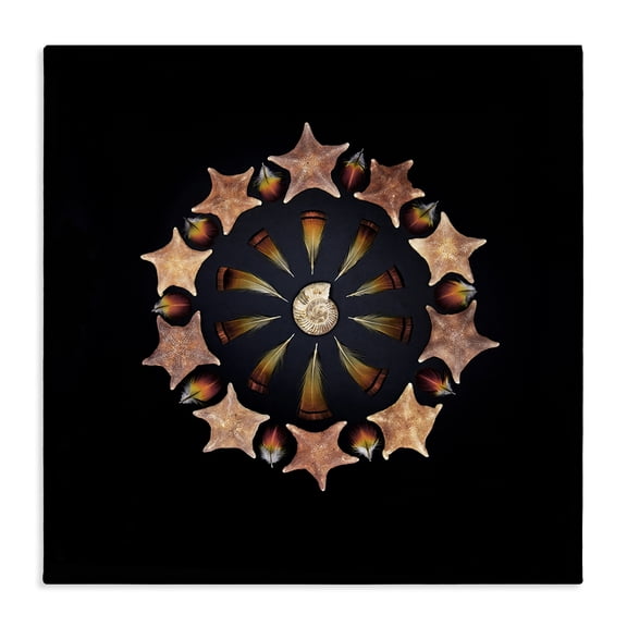 Stupell Industries Nautical Nature Arrangement Canvas Wall Art, design by Beth Adoette
