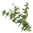 thumbnail image 4 of Planta Artificial Mainstays 90 cm Eucalipto Verde, 4 of 4