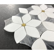 Water Jet 6 x 6 Novelty Mosaic Wall & Floor Tile - Case (10 Sheets)