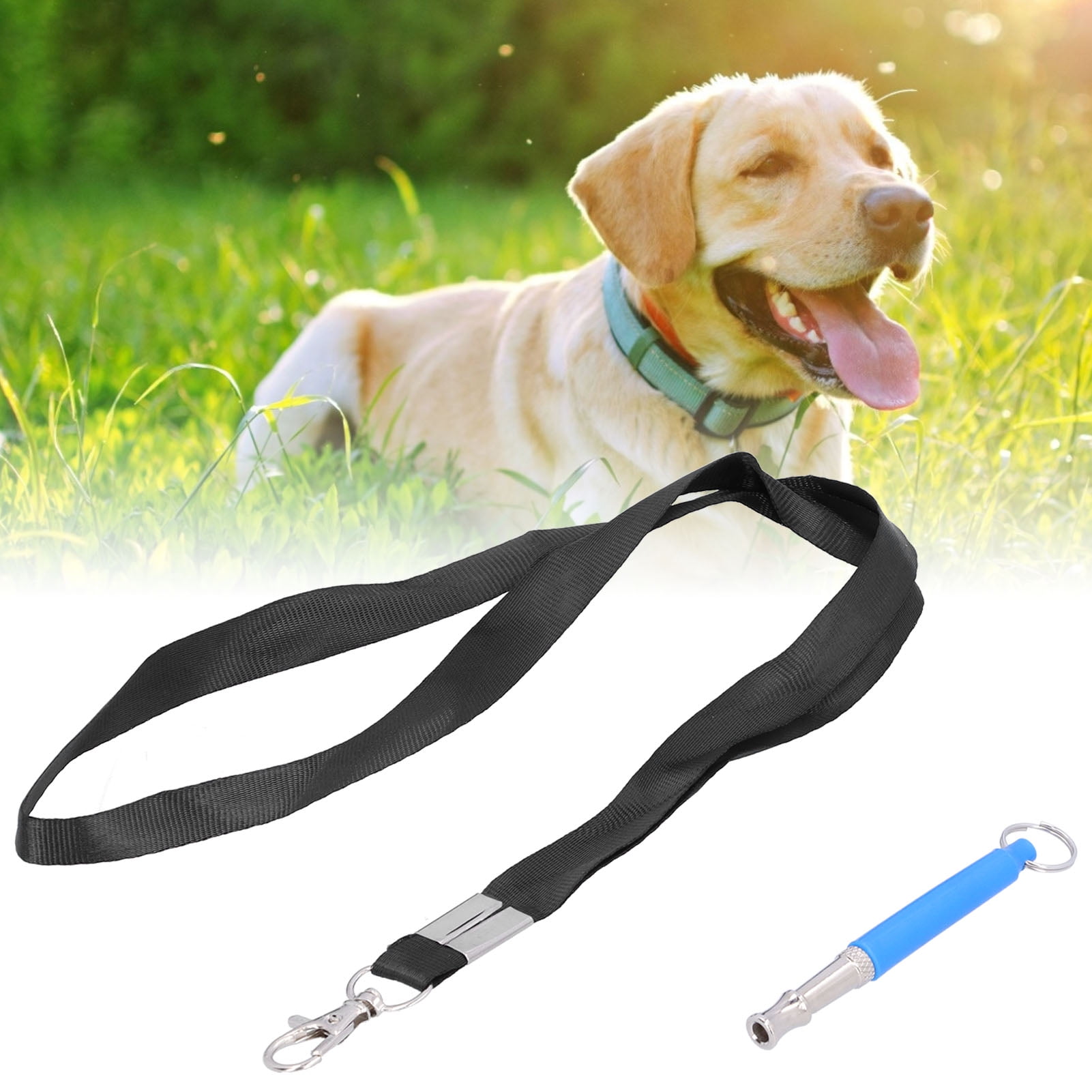 Dog Whistle Plastic Adjustable Ultrasonic Sound Dog Training Kit Compact for Hanging It on Neck for Wrist Blue with Lanyard Walmart