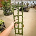 thumbnail image 2 of Syndicate Moss Trellis 26", 2 of 8