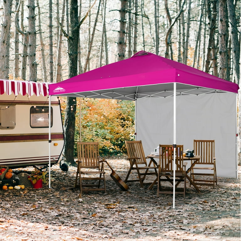 Pink 10x10 canopy hotsell