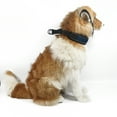 thumbnail image 6 of SPRING PARK Adjustable Reflective Dog Collar Cat Head Buckle Neck Strap Collar Bell Puppy, 6 of 7