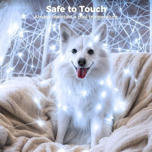 Twinkle Lights Battery Operated 50 Packs Fairy Lights with Timer, 20 LED 3 Modes 7ft Waterproof Silver Wire Mini Bulk Mason Jar String Light, Led String Lights, Garden Decor, Cold white