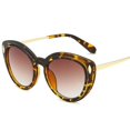 thumbnail image 5 of Unisex Square Classic Cat Eye Sunglasses Cateye Sunglasses Y1026, 5 of 5