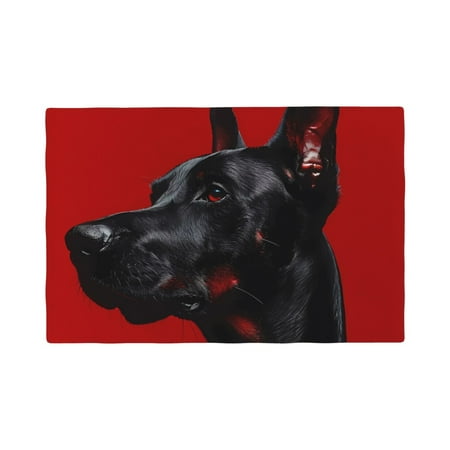 

Placemats Set of 4 / 6 Black Dog Red Background Placemats for Dining Table Indoor/Outdoors Heat Resistant Washable Placemats 18 x 12