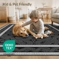 thumbnail image 4 of ODIKA 4'x6' Washable Area Rug Stain Resistant, Low Pile, Easy Care Snake Monochrome Centered Symmetry Balanced Geometric Serpent for Dorm Room, Small Living, 4 of 7