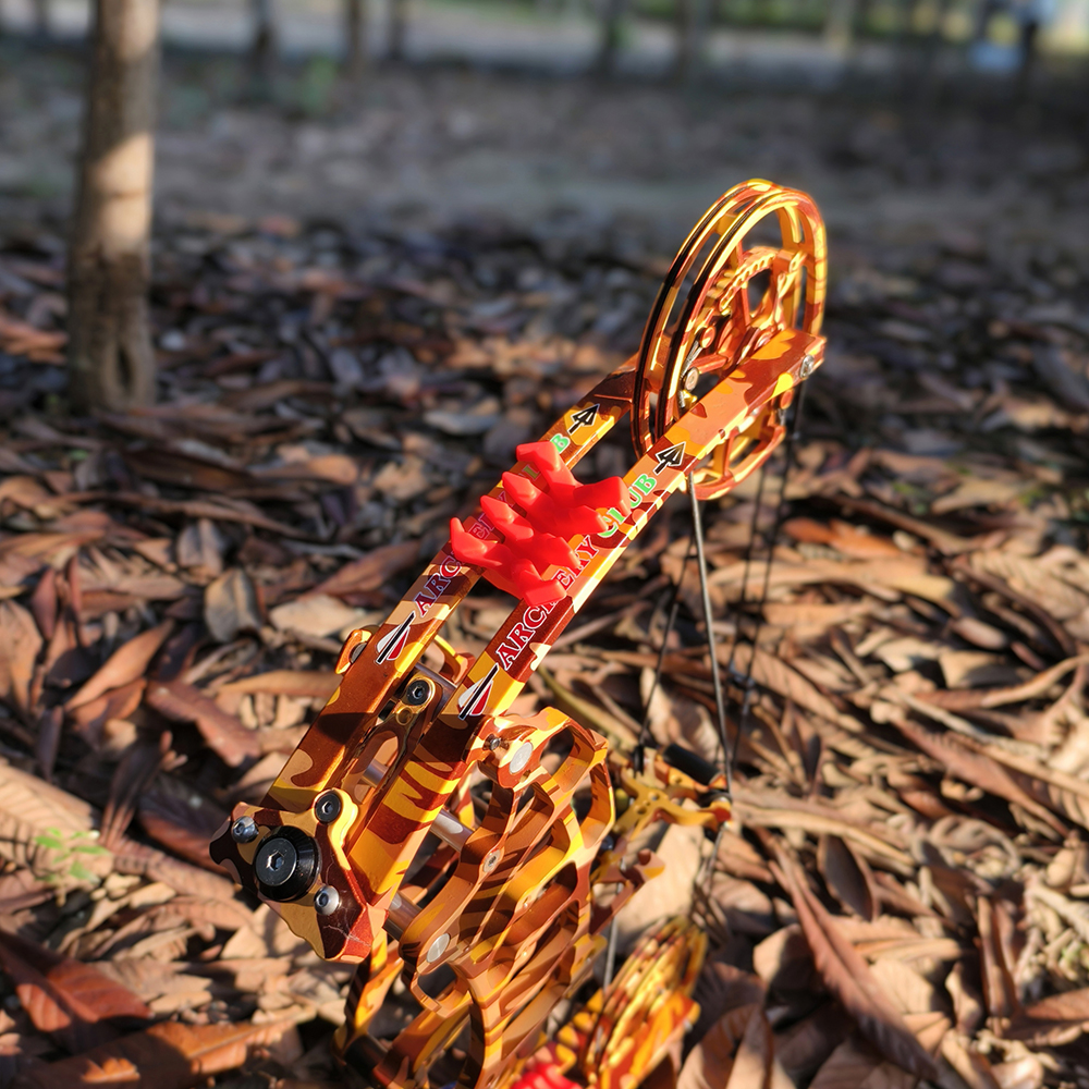 1 Kit 30-60lbs Compound Bow Kit Steel Ball Arrows Dual-use Archery Hunting Fish RH LH