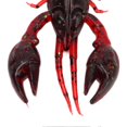 thumbnail image 2 of 10pcs Soft Fishing Lures PVC Crayfish Shrimp Artificial Soft Lures for Bass Fishing Dark Red Ten Pack, 2 of 4