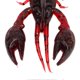 thumbnail image 2 of 10pcs Soft Fishing Lure Crawdad Bait PVC Shrimp Artificial Soft Lure Baits for Bass FishingDark Red A Pack of Ten, 2 of 4
