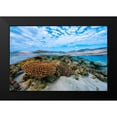 thumbnail image 2 of Gabriel, Barathieu 24x17 Black Modern Framed Museum Art Print Titled - Into The Lagoon!, 2 of 5