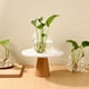 thumbnail image 5 of Juego de 3 macetas de vidrio para plantas aéreas, ideales para decorar tu hogar u oficina., 5 of 7