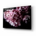 thumbnail image 2 of Epic Art 'Pink Double Tulips' by Elise Catterall, Acrylic Glass Wall Art, 16"x12", 2 of 8