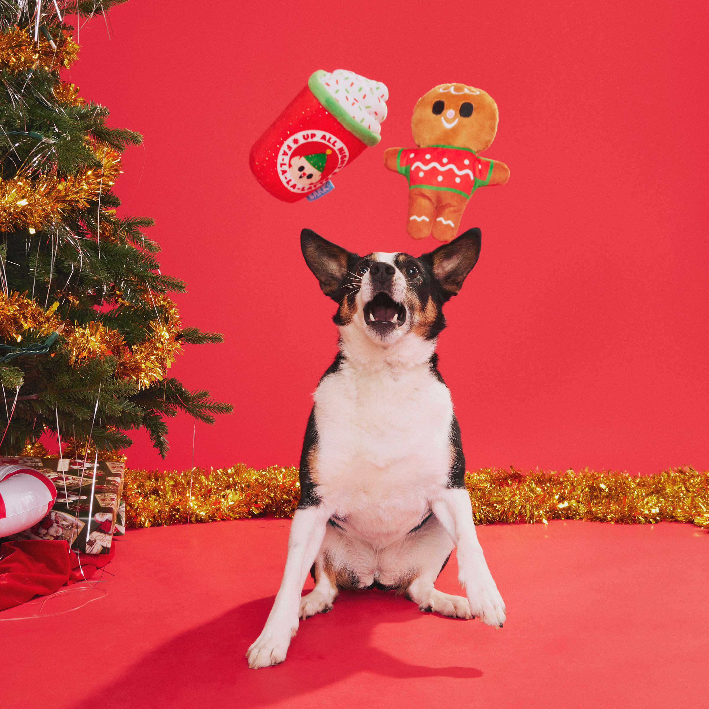 BARK Ginger Brew Crew 2 Piece Plush Dog Toy