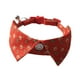 thumbnail image 4 of Collar navideño para gatos Salvador Accesorios navideños Alce rojo ajustable 18 a 28 cm, 4 of 9