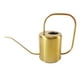 thumbnail image 2 of Regadera de 50 Regaderas de material acero Inoxidable para Interiores Y Exteriores para Pntas de Interior Agua de para Flores de Jardín CUTICAT Regadera de acero inoxidable, 2 of 8