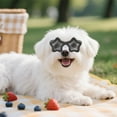 thumbnail image 4 of REK Cat Goggles With Adjustable Straps Eye Suitable For Cats For Outdoor Activities, 4 of 4
