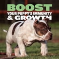 thumbnail image 6 of Bully Max 24/14 High Protein & Growth Lamb Flavor Puppy Food, 15 lb. Bag, 6 of 9